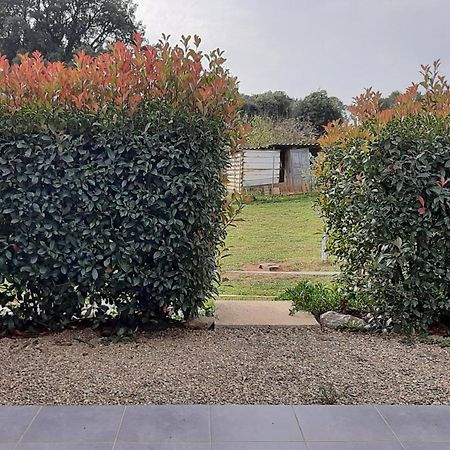 מוריאני-פלאז' Residences Du Monde מראה חיצוני תמונה